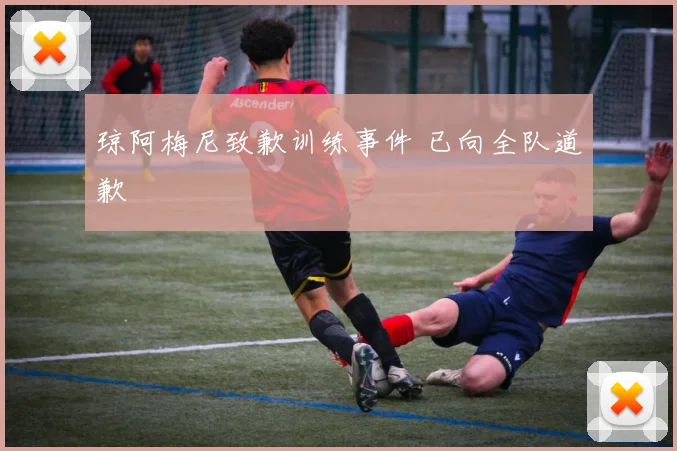 琼阿梅尼致歉训练事件 已向全队道歉